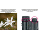 Pentax UD 10 X 21mm Black Compact Roof Prism Binoculars, Black, Medium, 61816