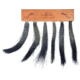 Pittman Game Calls Long Beard Down Multi Turkey Beard Mount