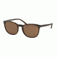 Polo PH4107 Sunglasses 500373-53 - Shiny Dark Havana Frame, Brown Lenses