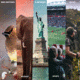 Praktica Falcon 8x40 Binoculars, Black, CDFN840BK