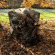 Primos Hunting Double Bull SurroundView Max Ground Blind, Camo, 65163