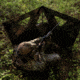 Primos Hunting Double Bull SurroundView Stakeout Hunting Blind, Mossy Oak Greenleaf, 65164