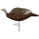 Primos Hunting Gobbstopper Hen Turkey Decoy, High Quality w/Realistic Detail, Box, 69065