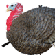 Primos Hunting Gobbstopper Jake Turkey Decoy, Box, 69066