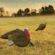 Primos Hunting Gobbstopper Jake Turkey Decoy, Box, 69066