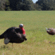 Primos Hunting Gobbstopper Jake Turkey Decoy, Box, 69066