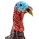 Primos Hunting Photoform Jake Decoy, Box, 69069