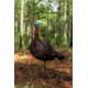 Primos Hunting Photoform Jake Decoy, Box, 69069