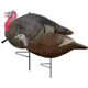Primos Hunting Primos Turkey Decoy Lil Gobbstopper Jake/hen Combo
