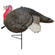 Primos Hunting Primos Turkey Decoy Lil Gobbstopper Jake