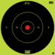 Pro-Shot Splatter Shot Bullseye Targets - Heavy Tag Paper 12 Inch Green 5 Pack