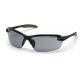 Carhartt Thunder Bay Safety Glasses, Gray Anti-fog Lens w/ Black Frame CHB520DTCSC