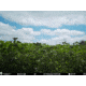 RaKK Fuel Hunters Haven 1/4 Acre, Large, 7522