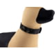 Raptor Tactical K9 ODIN Collar, Multicam Black, K9OC-BM-45