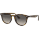 Ray-Ban RB4259 Sunglasses 710/11-51 - Havana Frame, Grey Gradient Dark Grey Lenses