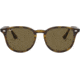 Ray-Ban RB4259 Sunglasses 710/73-51 - Shiny Havana Frame, Brown Lenses