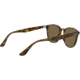 Ray-Ban RB4259 Sunglasses 710/73-51 - Shiny Havana Frame, Brown Lenses