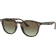 Ray-Ban RB4259 Sunglasses 731/E8-51 - Havana Grey Frame