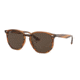 Ray-Ban RB4306 Sunglasses 820/73-54 - , Dark Brown Lenses