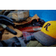 Remington King of Mountain 2026 Bullet 3.5in Fixed Blade Knife