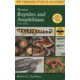 Reptiles &amp; Amphibians West, Peterson Field Guide, Publisher - Houghton Mifflin
