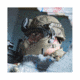 Revision Viper P2 Helmet, System w/ILR, 1NVG, MSS, Tan, Small 4-0501-5343