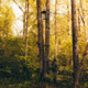 Rivers Edge Treestands Big Foot Rogue XL Hang-On Treestand, RE562