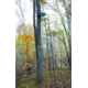 Rivers Edge Treestands Bowman Ladder Stand, Black RE635