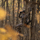 Rivers Edge Treestands Bowman - LS Treestand, Black, 19ft 5in, RE675