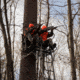 Rivers Edge Treestands Lockdown 21ft 2-Man Treestand, Rivers Edge Grey, LD202E