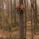 Rivers Edge Treestands Lockdown 21ft 2-Man Treestand, Rivers Edge Grey, LD202E