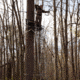 Rivers Edge Treestands Lockdown 21ft 2-Man Treestand, Rivers Edge Grey, LD202E