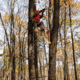 Rivers Edge Treestands Relax Wide - LS Treestand, Black, 16ft 9in, RE672