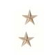 Rothco Brigadier General Insignia Stars, Gold, 1716-Gold