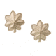 Rothco Major Insignia, Gold, 1703-Gold