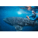 SeaLife Micro HD+ Underwater Camera 32gb WiFi SL501