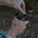 SightMark .380 ACP Pistol Laser Boresight, Black, SM39046
