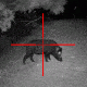 Sightmark Illuminated Photon XT Reticle