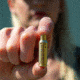 SightMark In-Chamber Red Laser Boresight, 6.5 Grendel, Red, Brass, SM39047