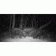Sightmark Photon XT 4.6x42S Digital Night Vision Rifle Scope SM18008