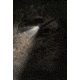 Sightmark SS2000 Flashlight SM73008K