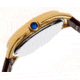 Sophie And Freda SF2903 Austin Ladies Watch, Brown Leather Band, Gold Case SAFSF2903