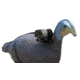 Spy Point Xcel Action Camera Decoy Mount, Black XHD-DM