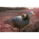 Spy Point Xcel Action Camera Decoy Mount, Black XHD-DM