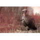 Spy Point Xcel Action Camera Decoy Mount, Black XHD-DM