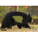 SSI Bear Target 3 Pack SME-TRG-BEAR