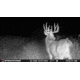 Stealth Cam Fusion-X Pro Cellular Hunting Trail Camera, 36MP, Video &amp; Photo, Camo, STC-FXWT