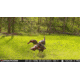 Stealth Cam Fusion-X Pro Cellular Hunting Trail Camera, 36MP, Video &amp; Photo, Camo, STC-FXWT