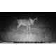 Stealth Cam Fusion-X Pro Cellular Hunting Trail Camera, 36MP, Video &amp; Photo, Camo, STC-FXWT