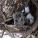 Stealth Cam Fusion-X Pro Cellular Hunting Trail Camera, 36MP, Video &amp; Photo, Camo, STC-FXWT